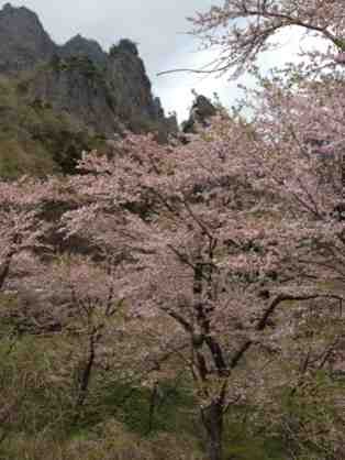 ImageUploadedBy大板凳1335887443.504505.jpg