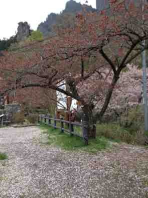 ImageUploadedBy大板凳1335887471.111226.jpg