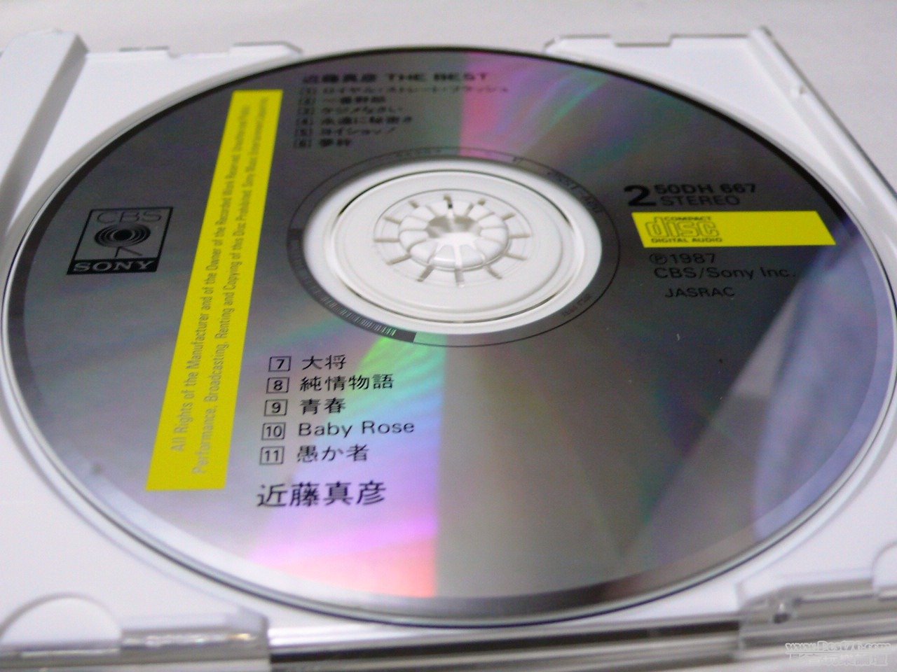 P1020309.JPG
