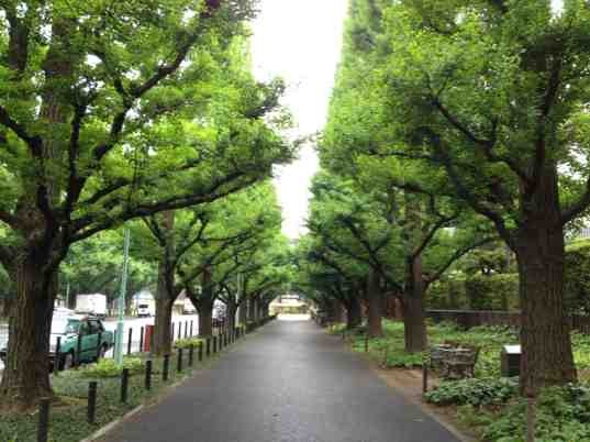 ImageUploadedBy大板凳1335933817.881819.jpg