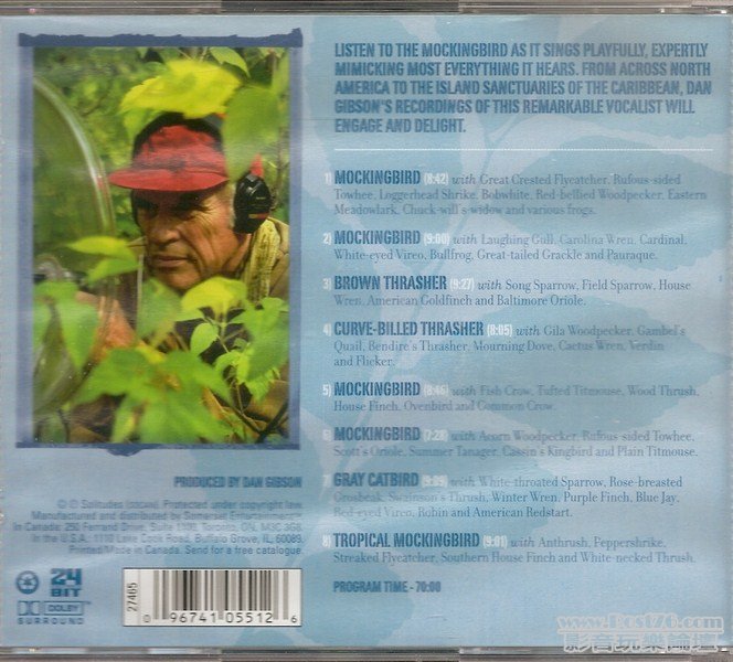 2003 Listen to the Mockingbird 純鳥聲音 (封底) (Kopyala).jpg