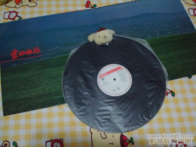 DSC00780.JPG