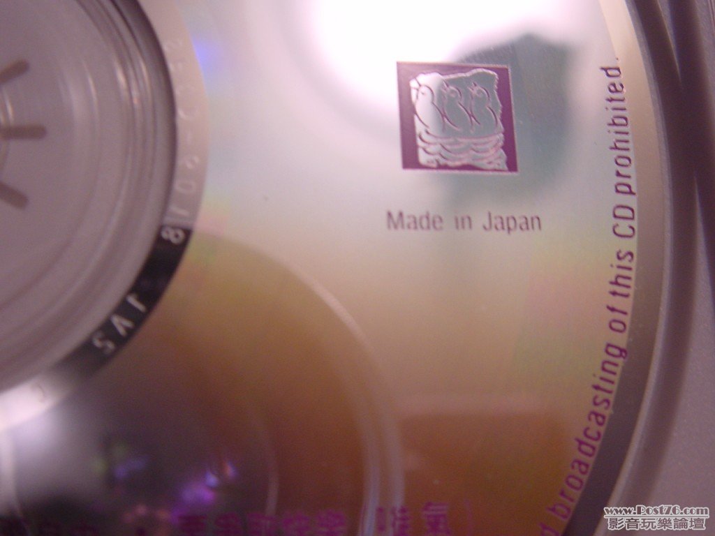 DSC00307.jpg