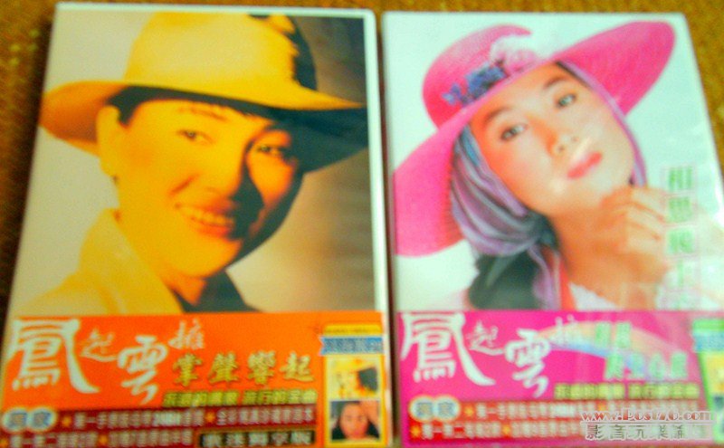 Fong Fei Fei (0010) (Copy).JPG