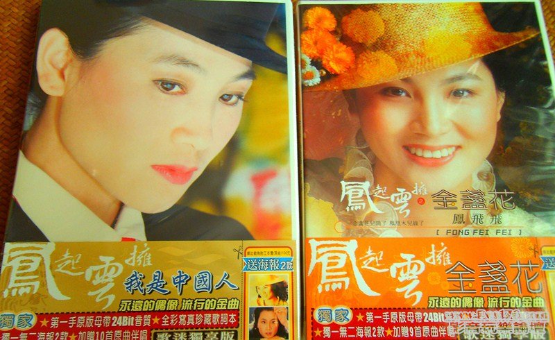 Fong Fei Fei (0011) (Copy).JPG