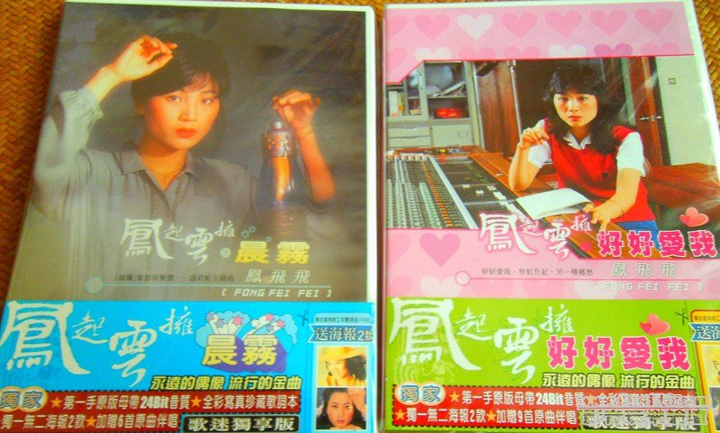 Fong Fei Fei (0012) (Copy).JPG