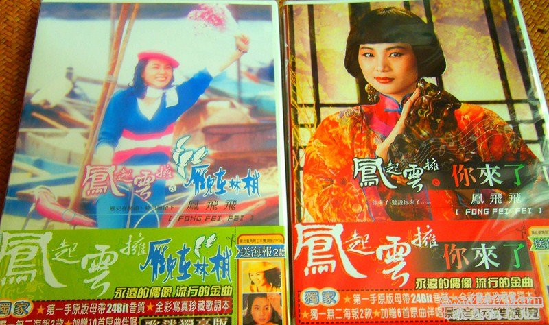 Fong Fei Fei (0013) (Copy).JPG