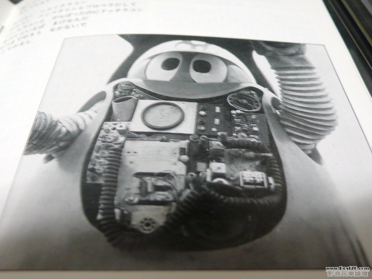 P1020933.JPG