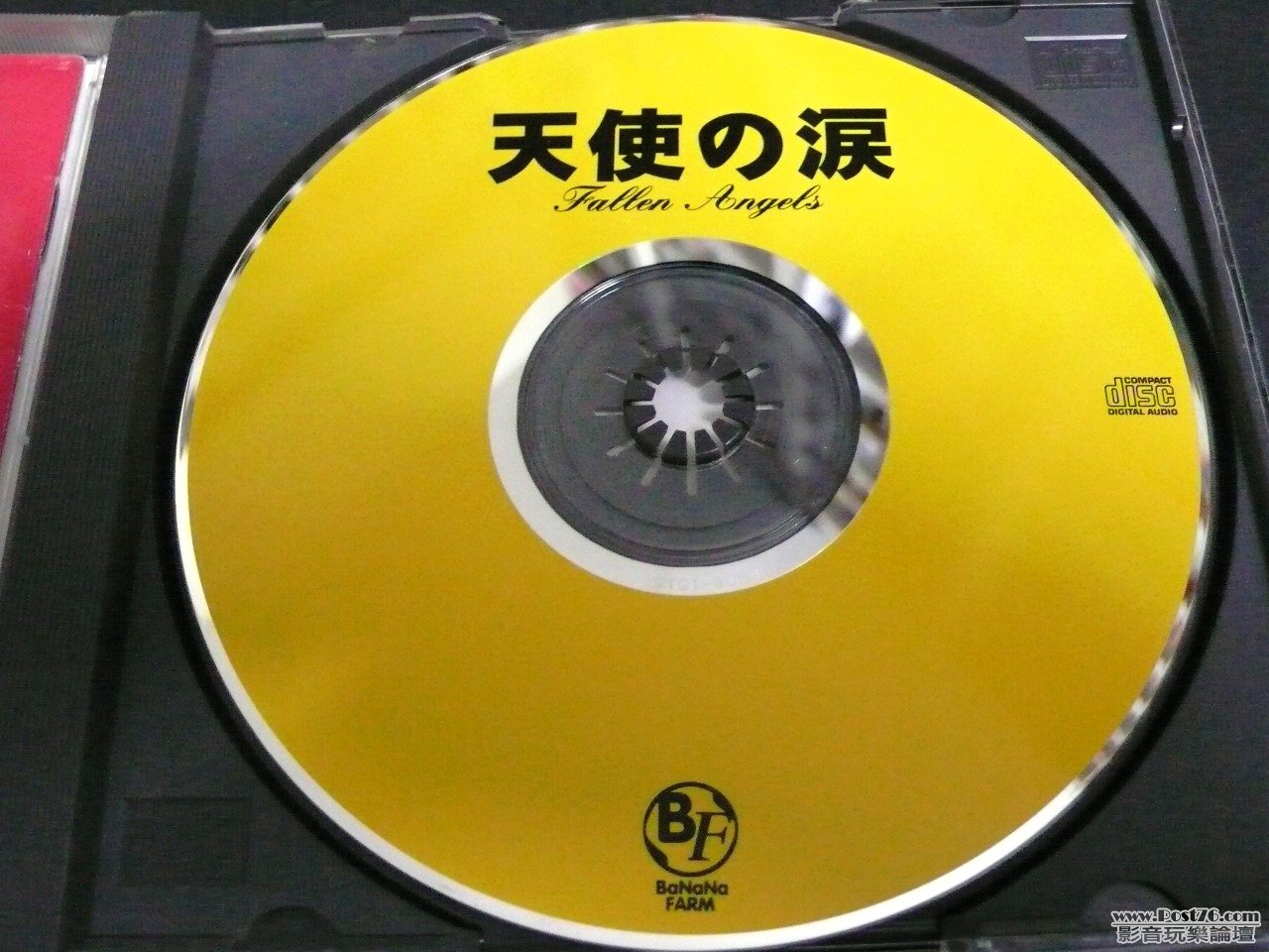 P1030053.JPG