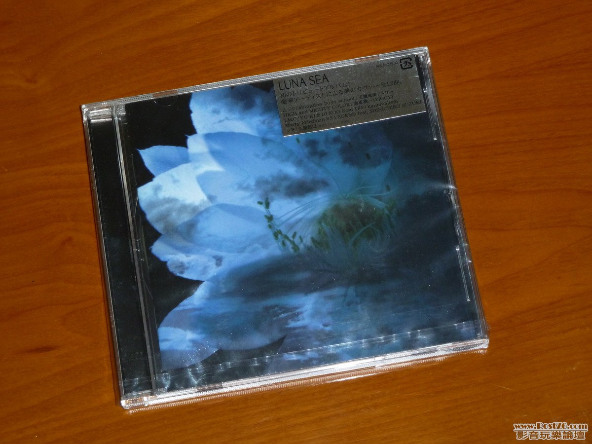 lunaSea-1.JPG