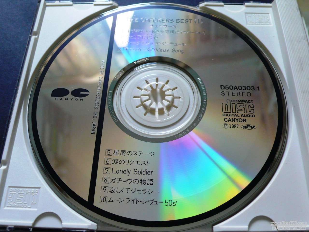 P1030012.JPG