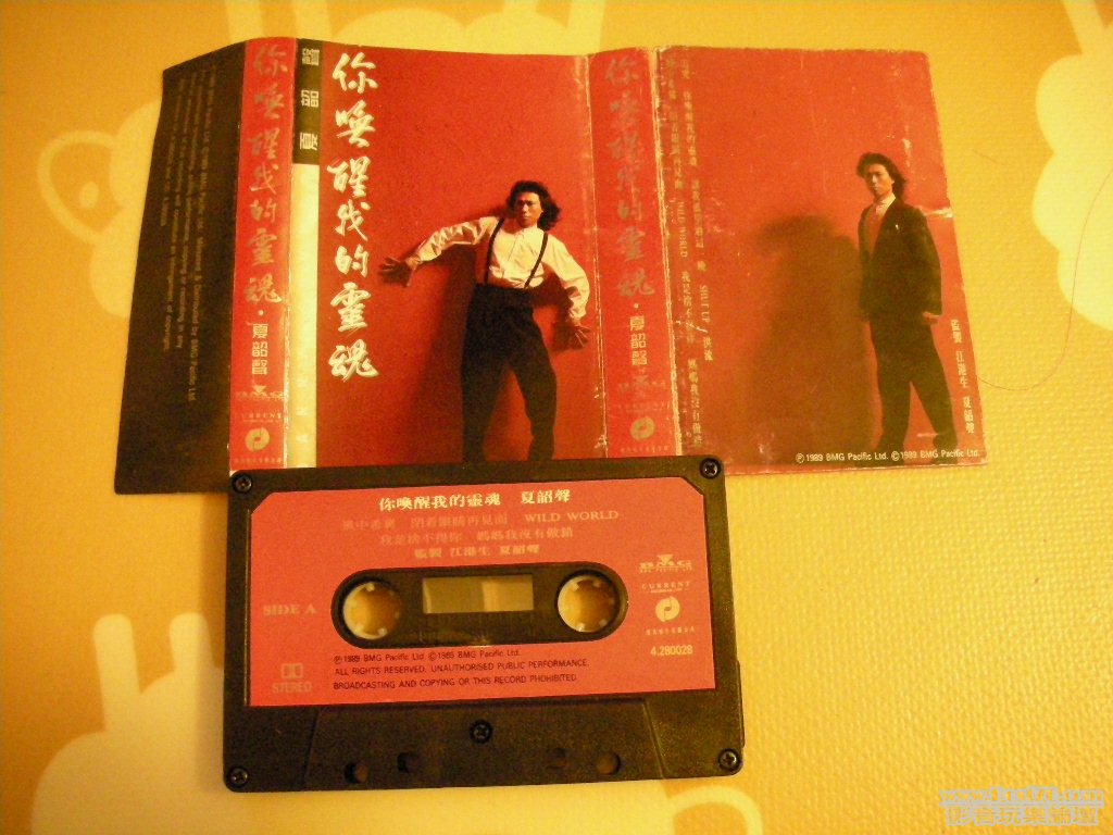 DSCN9936.JPG