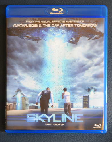 skyline copy[1].jpg