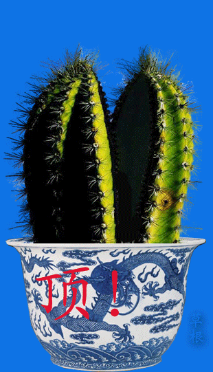 頂6.gif