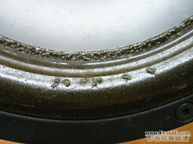 P1040434.JPG