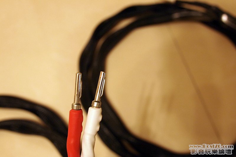 plugs