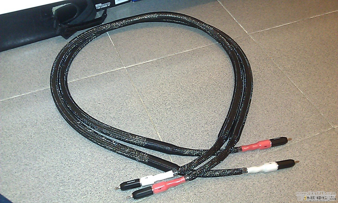 123.jpg