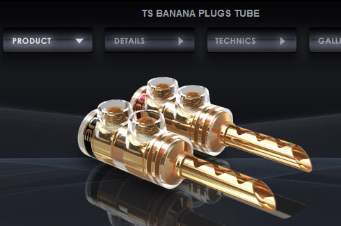 TS Tube Plug