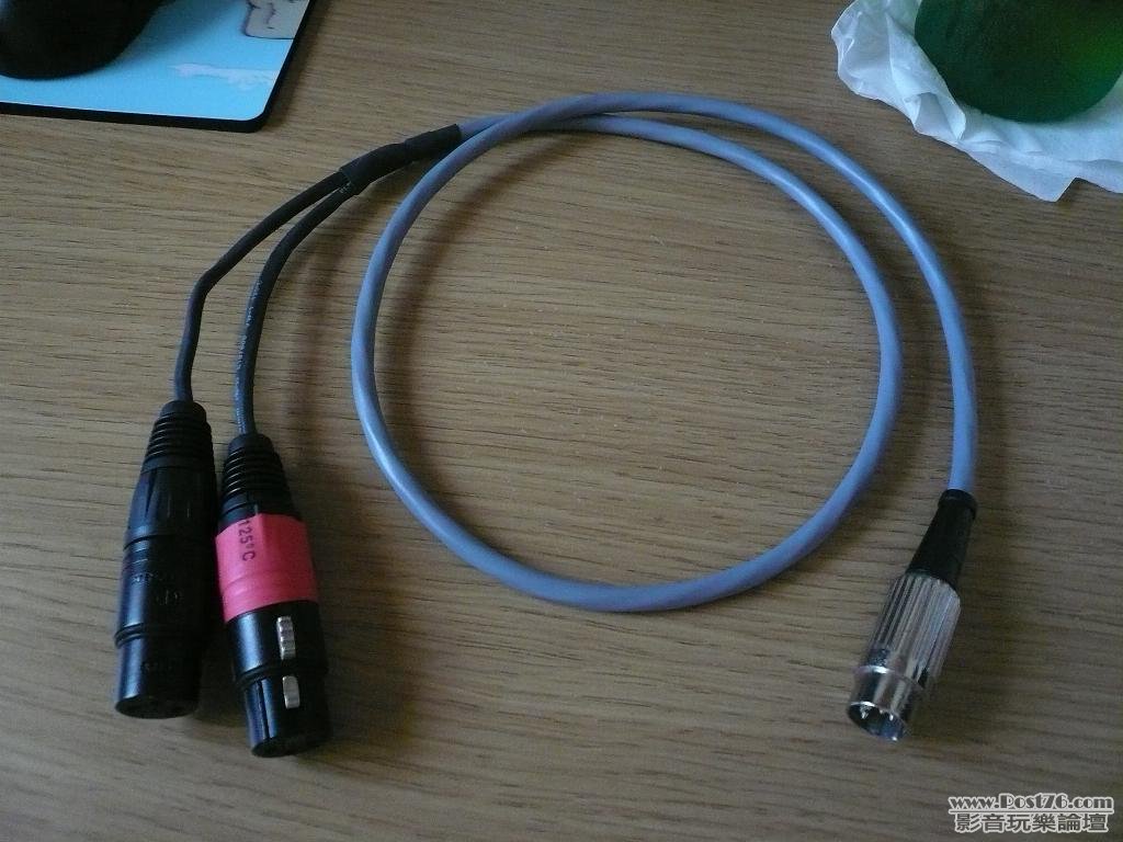 XLR > 5DIN 1/3