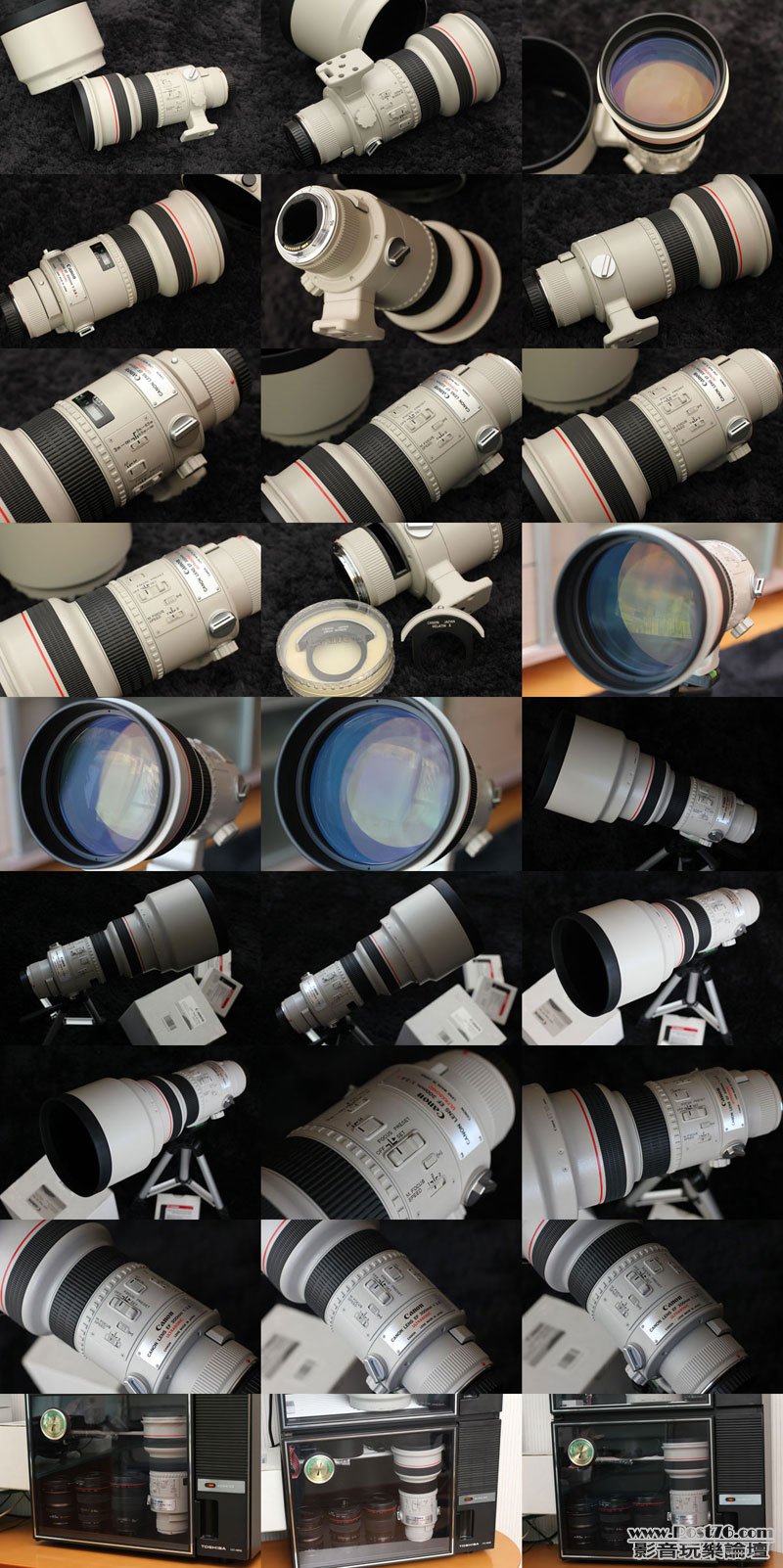 Canon300mmLv2.jpg