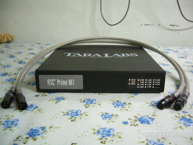 P1030561.JPG
