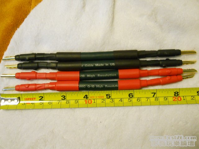 照片 301.jpg