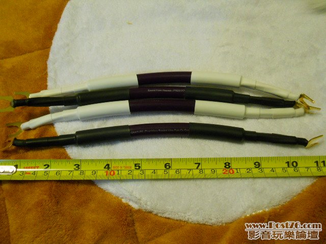 照片 302.jpg