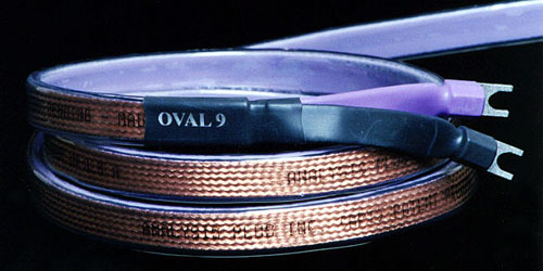 oval 9.jpg