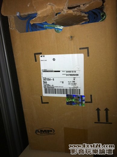 正廠AMP Cat6 Lan 線
