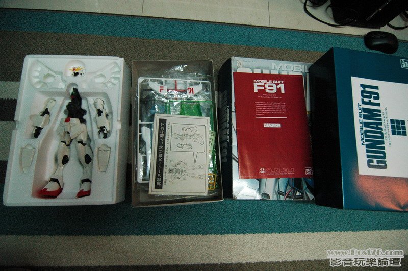 F91_02.jpg