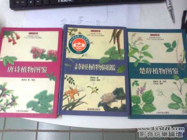 相片0328.jpg