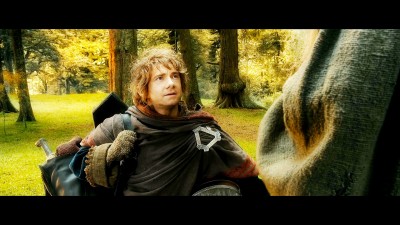 Hobbit3 (117)