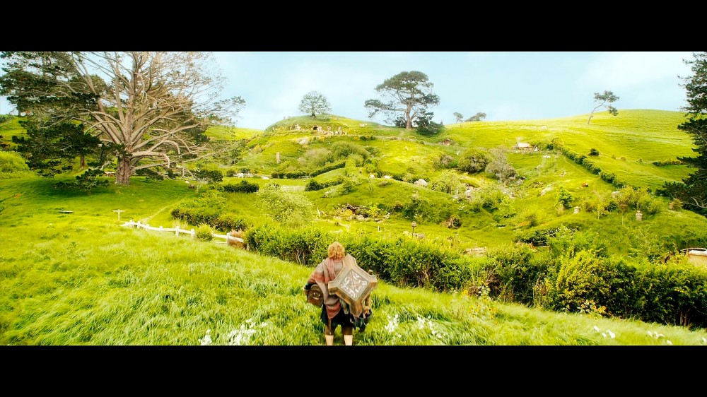 Hobbit3 (119)