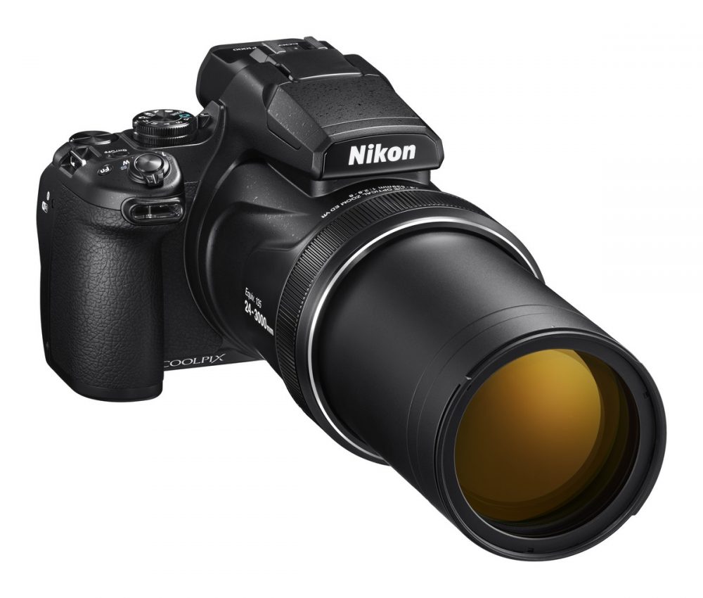 Nikon P1000 004