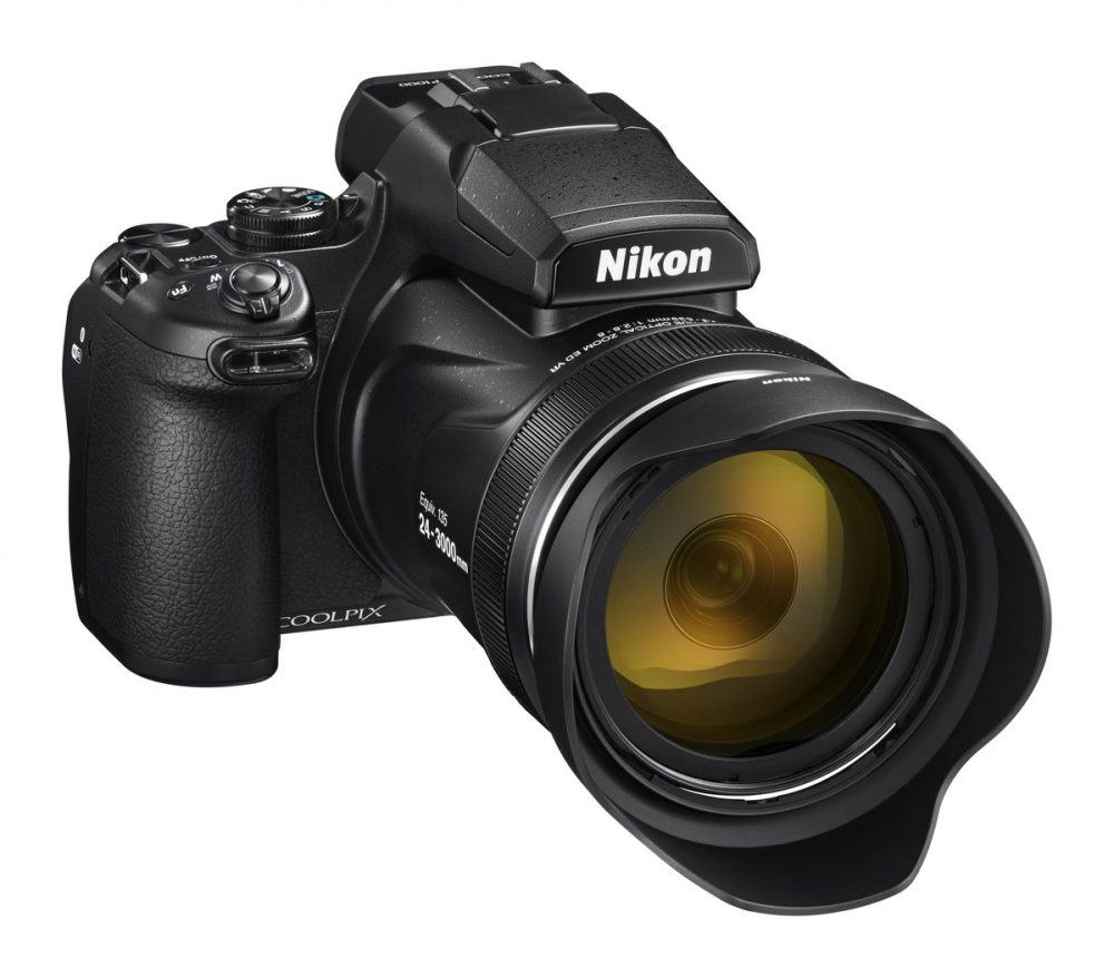 Nikon P1000 005